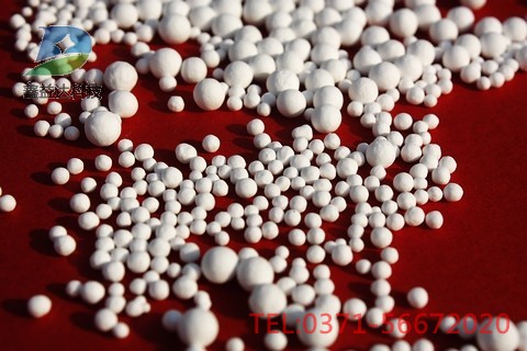 ���������X���������^�̺���