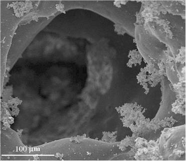 ���ӺY���Ƃ�{�ײ����еđ�(y��ng)��