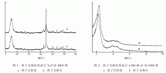 ���ӺY�Ļ��W(xu��)����