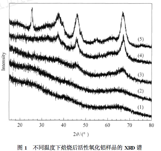 �����ضȌ����������X���|(zh��)��Ӱ�