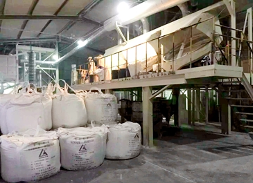 ���������X�S��