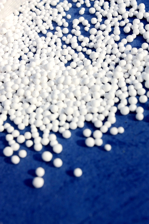 ���������X�w��