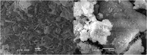 ���������X����